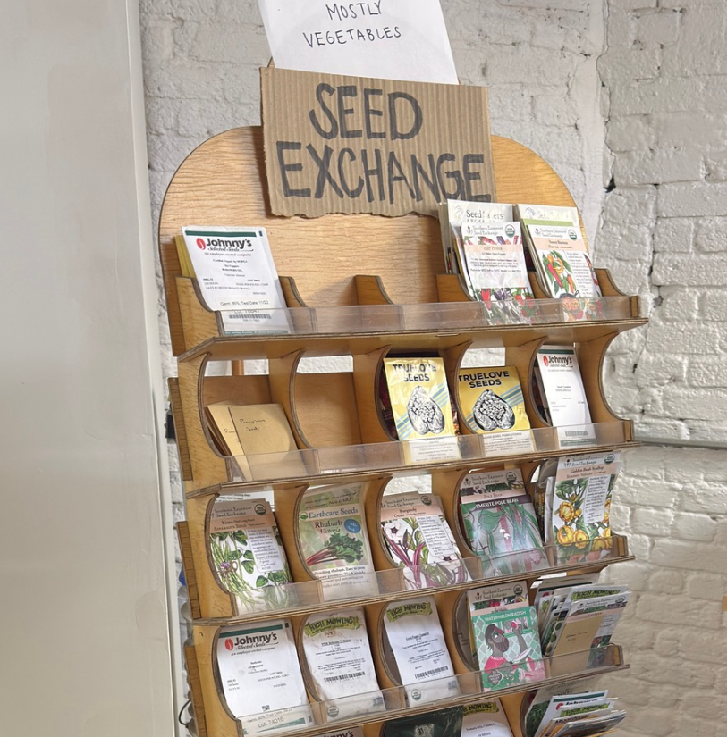 Seed Swap with St Bernard's Seedlings